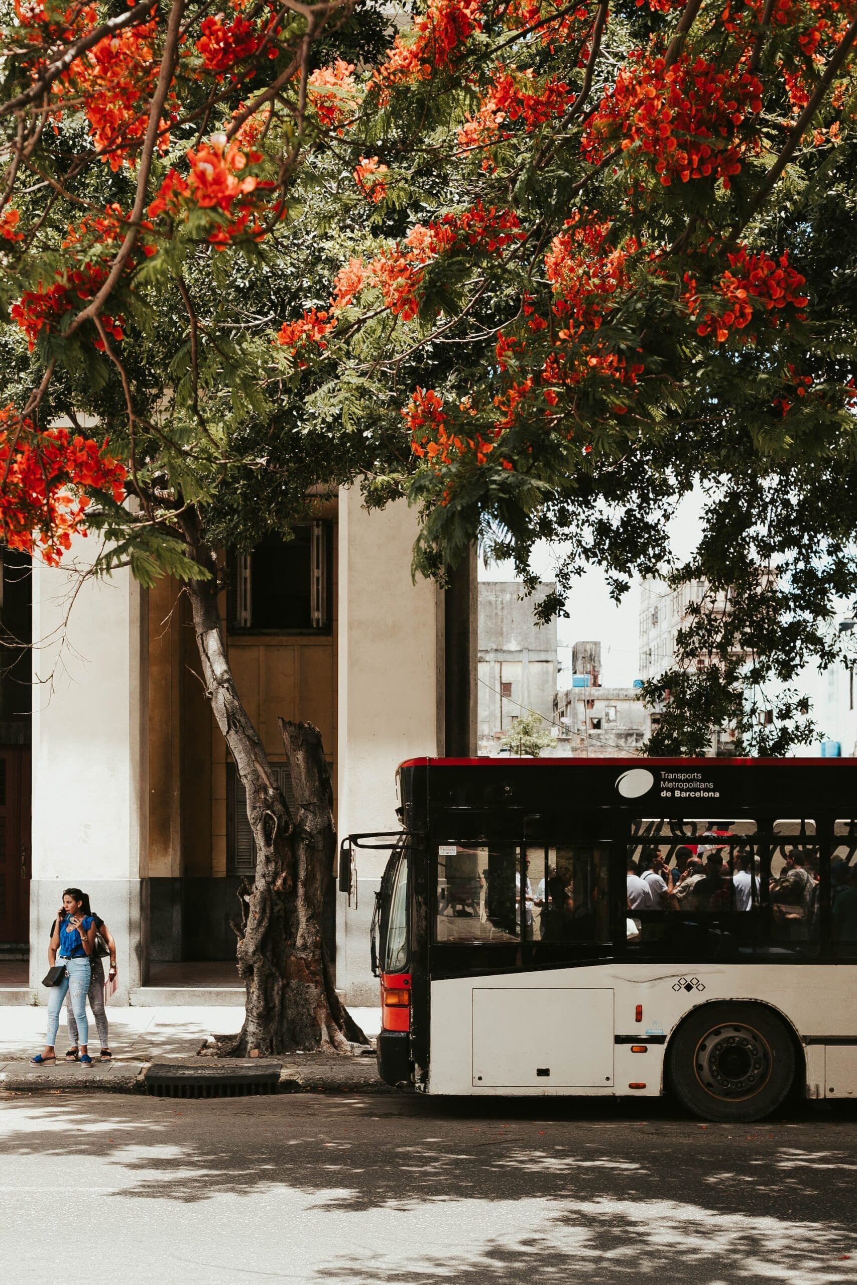 Public bus transportation in Suzhou city